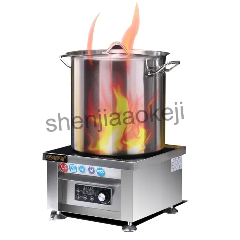 Home Electric Induction Cooker – Home Cooking Business Bewertung und Preis